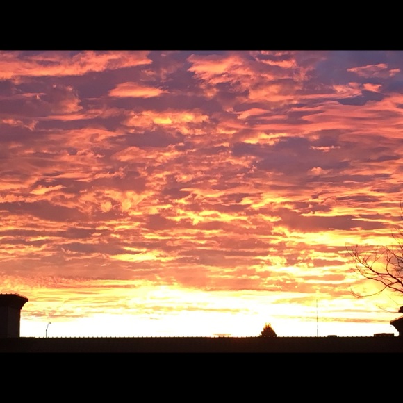 Meet your Posher, Josielynn - Picture 8 of 10